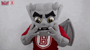 The Valley Mvc GIF by Missouri Valley Conference