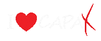 Dance Cat Sticker by CAPAX... tanec na MAX