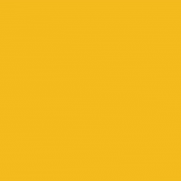 cameonetwork network cameo cameo network GIF