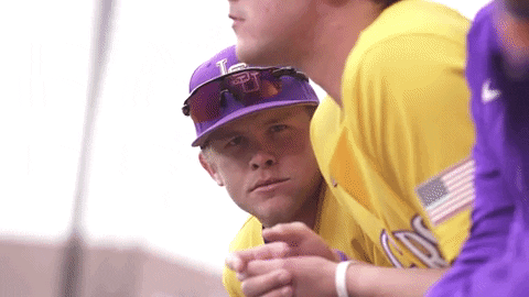Like A Boss Baseball GIF by LSU Tigers