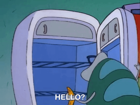 rockos modern life nicksplat GIF