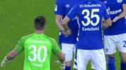 Football Soccer GIF by FC Schalke 04