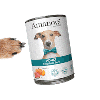 Cat Dog Sticker by Amanova Pet Food