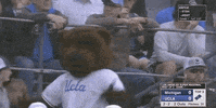 baseball road GIF by NCAA Championships