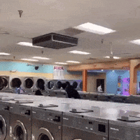 black women inertia GIF