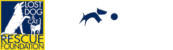 lostdogrescue dogventure lost dog lost dog rescue dogventures Sticker