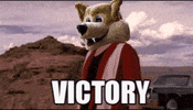 National Hockey League Celebration GIF by FOX Sports Arizona