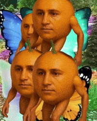 Fairy Oranges GIF by Respective
