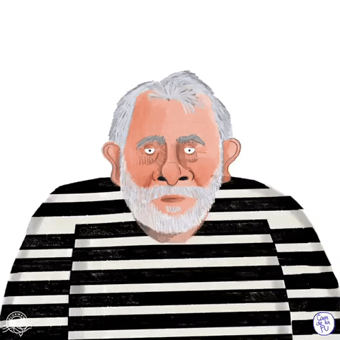 lula da silva brazil GIF by Camdelafu