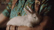 Magic Now You See It Now You Dont GIF by FILMRISE