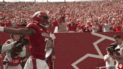 Fans Celebrate GIF by Indiana Hoosiers