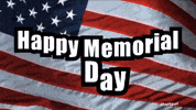 American Flag Day GIF by Charli Gurl