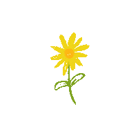 Daisy Flower Sticker