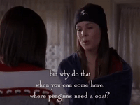 season 4 netflix GIF by Gilmore Girls 