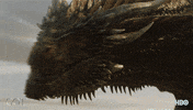 gameofthrones episode 5 game of thrones hbo season 7 GIF