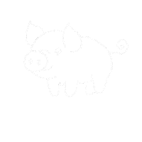 Happy New Year Pig Sticker by coraliedudafotografie