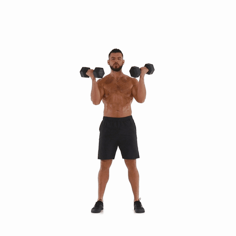 dumbbell shoulder press GIF