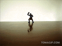 parrot GIF