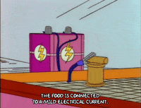 season 4 hamster GIF