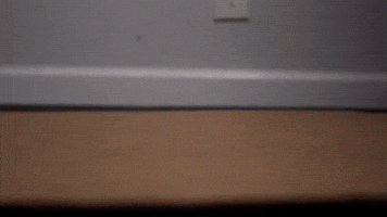 Homemade Skeeball
