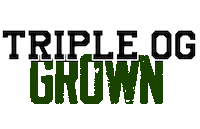 Tripleog Sticker by TRIPLEOGTHEBRAND