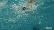 fly swimming GIF by GreenWave