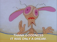 ren and stimpy nicksplat GIF