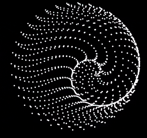 Animation Edm GIF by The3Flamingos