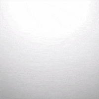 GIF by Giffffr
