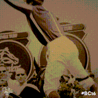 breeders cup GIF by CTPBoston