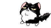 Cat Takechi Sticker