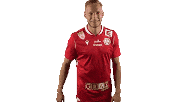 Michael Huber Celebration Sticker by grazerak