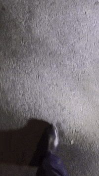 Persiiabaz GIF