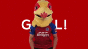 OfficialShots celebration mo mohamed aldershottown GIF