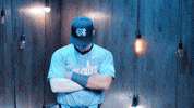 University Of North Carolina Baseball GIF by UNC Tar Heels