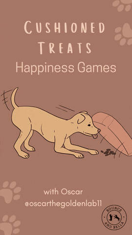 BounceandBella giphyupload dog treats dog games games for dogs GIF