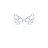 Signos Sticker by Magnólia Papelaria