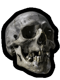 reference87 reference reference87 r87 redefiningreference Sticker