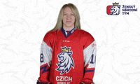 Celebration Hockey GIF by Národní tým