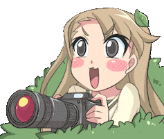 Photo Stalking Sticker by Jin