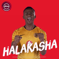 south african soccer GIF