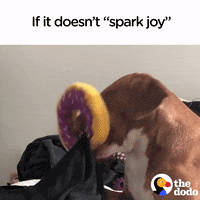 dog GIF by The Dodo