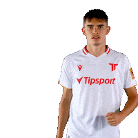 Football Celebration Sticker by Nike liga