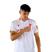 Football Logo Sticker by Nike liga