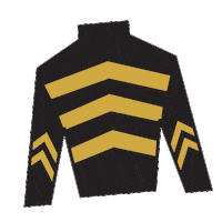 Horse Racing Silk Sticker by Kentucky Derby