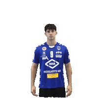 Goal Handball Sticker by EHV Aue
