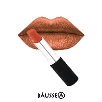 baussebeauty bausse bausse beauty bausse labial mate bausse mate Sticker