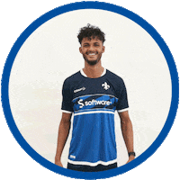 2 Bundesliga Football Sticker by SV Darmstadt 1898 e.V.