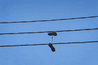 Loop Sneakers GIF by subtlestrokes