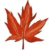 Fall Autumn Sticker by Decorating Outlet